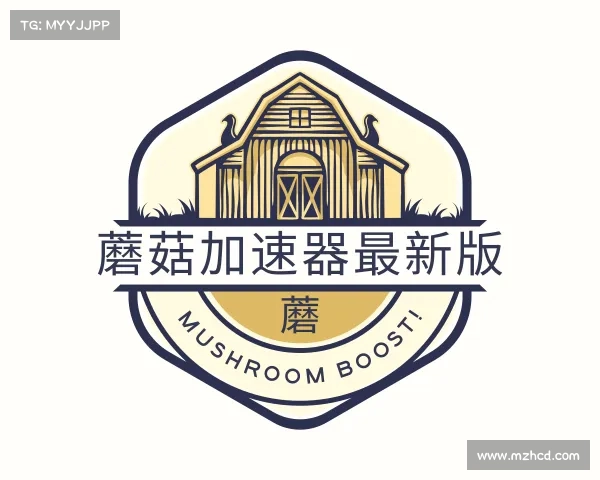 解读蘑菇加速器最新版